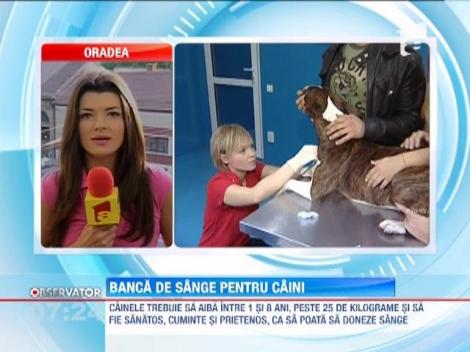 Banca de sange pentru caini