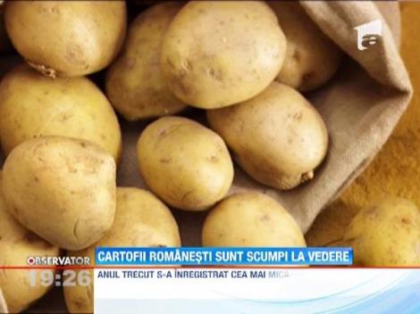 Caldura si lipsa ploilor au stricat deja recolta de cartofi