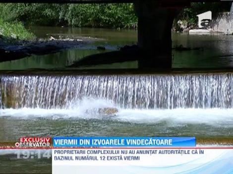 Viermii din izvoarele vindecatoare