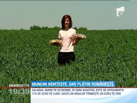 Muncim nemteste, platim romaneste