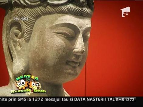 Celebrii soldati de teracota, expusi la Muzeul National de Istorie a Romaniei