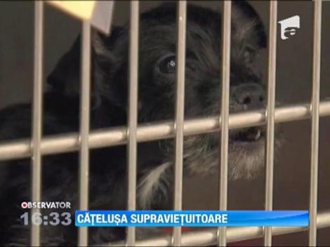 A supravietuit o luna intreaga fara apa si mancare!