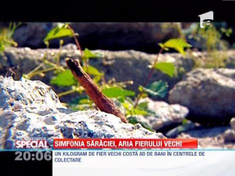 Lege speciala pentru cautatorii de fier vechi