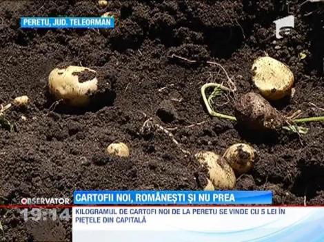 Cartofii noi romanesti, vechea escrocherie a intermediarilor din piete