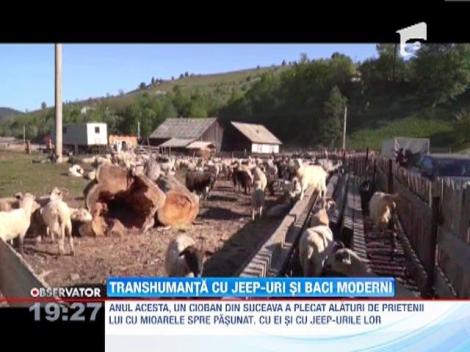 Transhumanta cu jeep-uri si baci moderni
