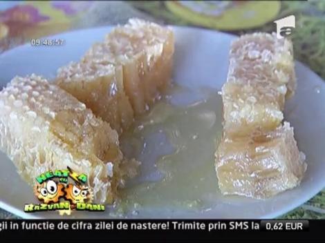 Apicultura, intre pasiune si afacere