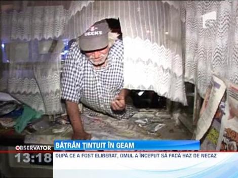 Batran tintuit in geam