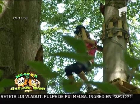Adrenalina si distractie printre copaci