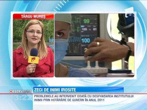 Zeci de inimi aruncate la gunoi