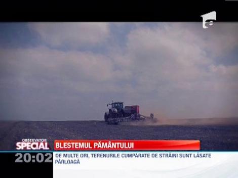 Din 2014, strainii vor cumpara terenuri in Romania fara restrictii