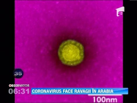 Contravirus face ravagii in Arabia Saudita