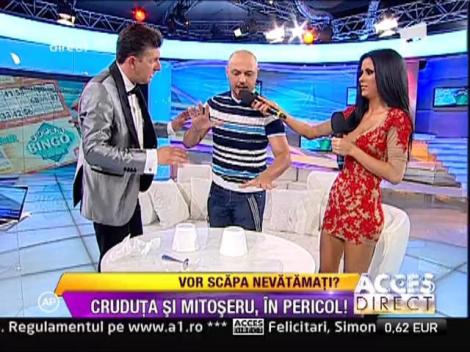 SuperBingo Metropolis: Mihai Mitoseru si Daniela Crudu pun la bataie 40 de miliarde de lei vechi!
