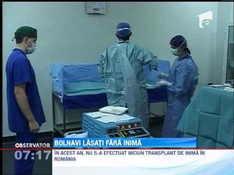 UPDATE / Zeci de inimi aruncate la gunoi