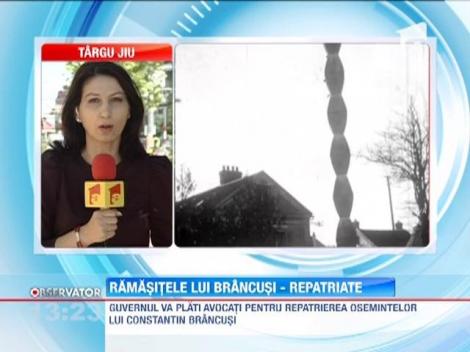 Osemintele lui Constantin Brancusi vor fi aduse in tara