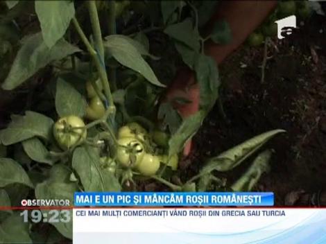 Matca legumelor romanesti exporta tone de castraveti in Polonia