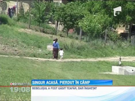 Un bebelus din Vaslui a evadat din casa si a pornit pe camp