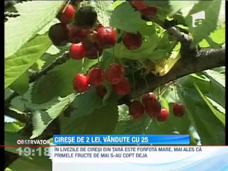 Ciresele de 2 lei/kg se vand in piete cu 20-25 de lei/kg