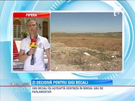 Gigi Becali isi asteapta sentinta in dosarul schimbului de terenuri