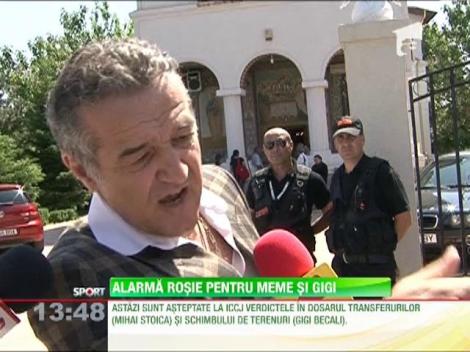 Becali o sa manance rosii impreuna cu Meme, in cazul in care va ajunge la inchisoare