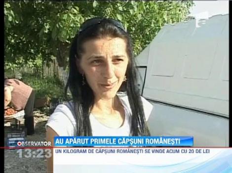 Au aparut primele capsuni romanesti