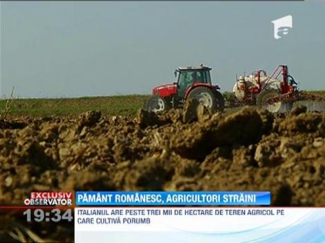 NOI VREM PAMANT / Pamant romanesc, agricultori straini