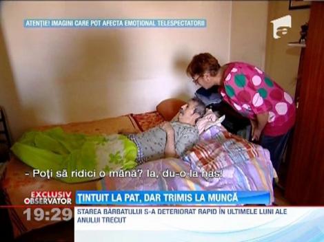 Tintuit la pat, dar trimis la munca