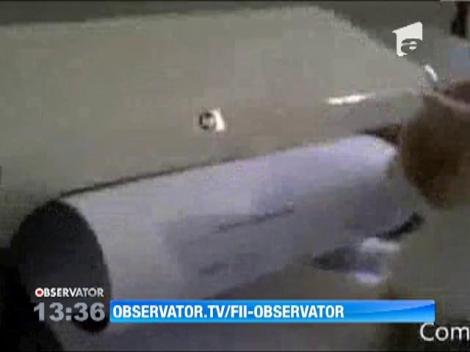 Curiozitati din lumea animala