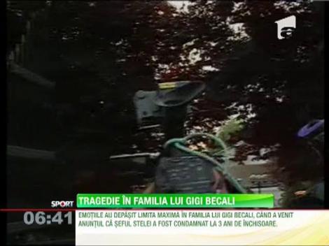 Tragedie fara margini in familia Becali dupa ce seful Stelei a fost condamnat la inchisoare