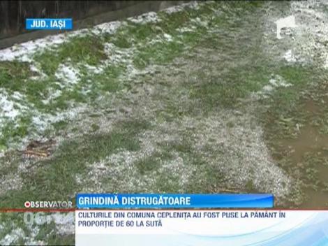 Seara furtunoasa in judetul Iasi! Grindina a distrus recolte din mai multe localitati, in doar 10 minute