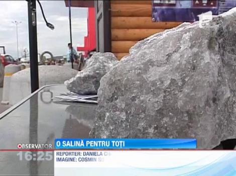 Salina artificiala de suprafata