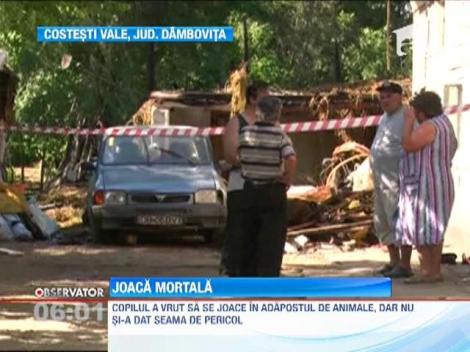 Dambovita: Cadavrul carbonizat al unui copil de sase ani, gasit intr-o anexa din gospodaria familiei