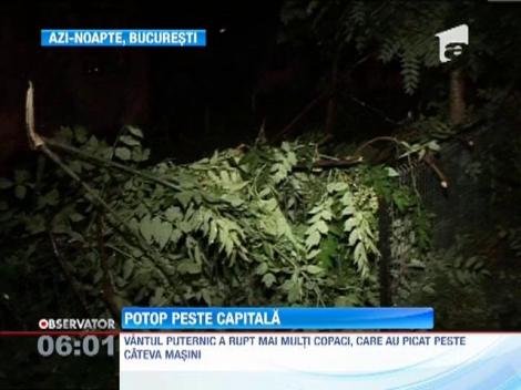 Furtuna violenta in Bucuresti! Tunete, fulgere si copaci doborati de vijelie