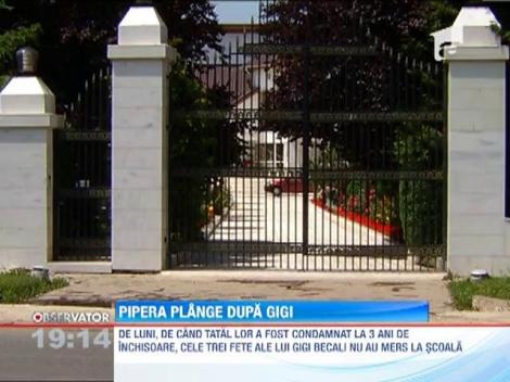 Pipera plange dupa Gigi Becali