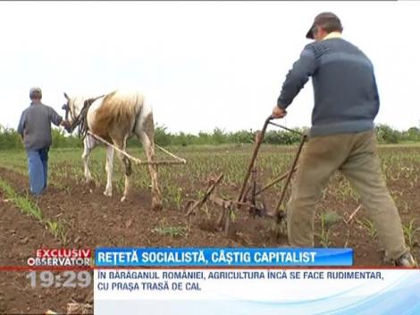 Agricultura in Romania se face inca rudimentar, cu prasa trasa de cal