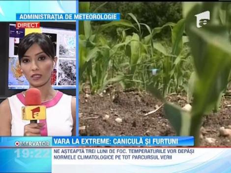 Vara la extreme: canicula si furtuni puternice