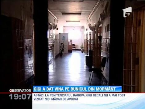 Gigi Becali a dat vina pe bunicul lui din mormant pentru schimbul ilegal de terenuri cu Armata!