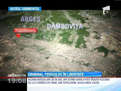 Trupul transat descoperit in raul Arges a fost identificat