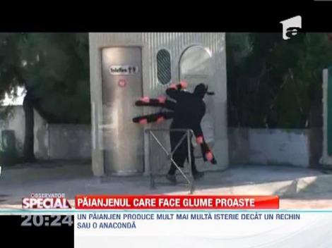 Paianjenul care face glume proaste