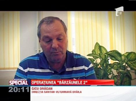 Bondarul asiatic, spaima romanilor