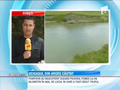 UPDATE/ Pompierii din Arges au descoperit piciorul femeii transate