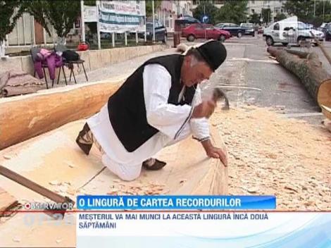 Cea mai mare lingura din lume se construieste la Mioveni