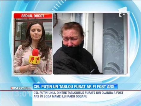 Cel putin unul dintre tablourile furate din Olanda a fost ars in soba mamei lui Radu Dogaru