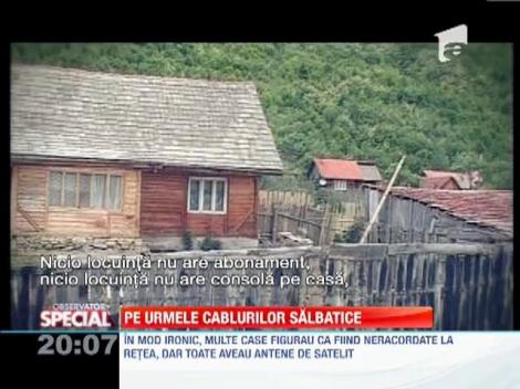 Retea artizanala de curent electric descoperita in padure