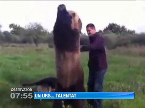 Un urs din Rusia face senzatie cu trucurile sale