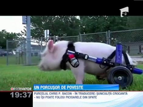 Un porcusor de poveste