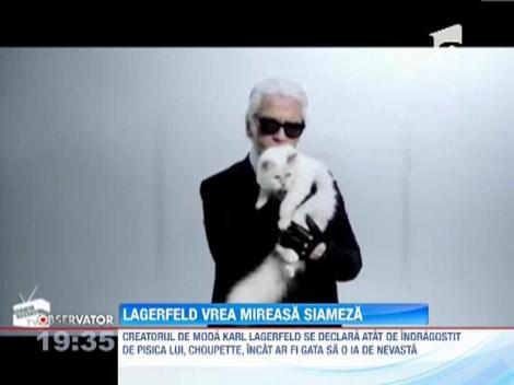 Karl Lagerfeld, directorul Casei Chanel, vrea sa se insoare cu pisica lui