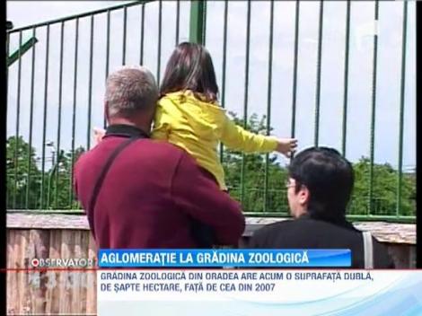 Aglomeratie la Gradina Zoologica din Oradea
