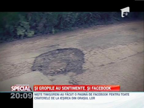 Cativa timisoreni au facut o pagina de Facebook pentru toate craterele de la iesirea din orasul lor