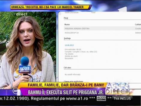 Adriana Bahmuteanu solicita executarea silita a frimei lui Honorius Prigoana