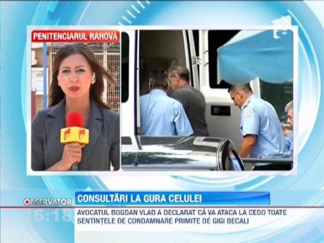 Avocatul lui Becali: Mergem la CEDO